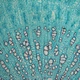 Binocular Biological Microscope