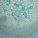 Binocular Biological Microscope